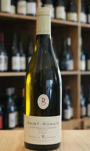 SAINT ROMAIN SOUS LE CHATEAU 2022 BOHRMANN LYON CAVISTE NOUVELLE CAVE