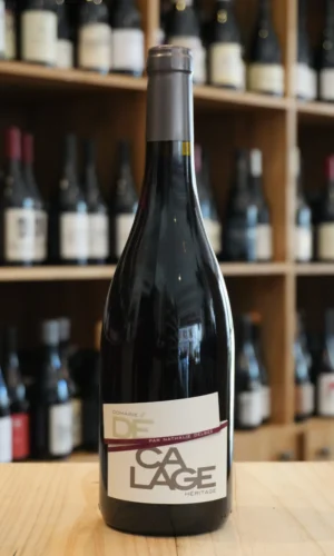 HERMITAGE 2020 DOMAINE DECALAGE CAVISTE LYON NOUVELLE CAVE