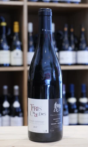 SAUMUR CHAMPIGNY "TERRES CHAUDES" 2017 DOMAINE DES ROCHES NEUVES - THIERRY GERMAIN CAVISTE LYON NOUVELLE CAVE