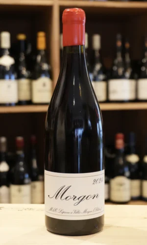 MORGON 2024 MARCEL LAPIERRE