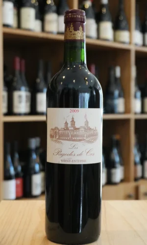Saint Estephe 2009 Pagodes de Clos Caviste Nouvelle Cave