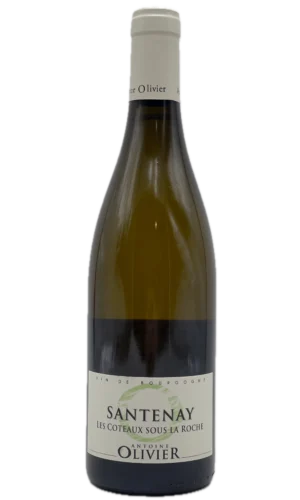 SANTENAY LES COTEAUX SOUS LA ROCHE 2020 ANTOINE OLIVIER