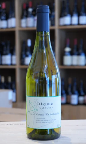 VIN DE FRANCETRIGONE 2016 SOULA nouvelle cave caviste lyon