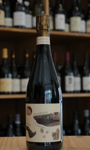 CHAMPAGNE LES PIECES V22 JM GANDON caviste nouvelle cave lyon