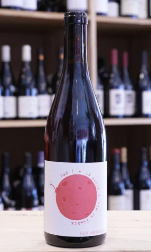 VIN DE FRANCE PAN 2024 MAISON LES ARICOQUES caviste nouvelle cave lyon