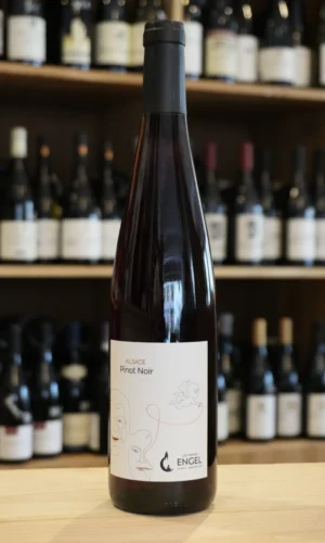 ALSACE PINOT NOIR 2024 ENGEL nouvelle cave caviste lyon