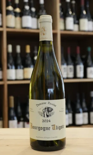 BOURGOGNE ALIGOTE 2024 DOMAINE PAVELOT caviste lyon nouvelle cave