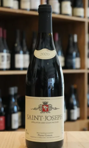 SAINT JOSEPH 2020 DOMAINE GONON caviste lyon nouvelle cave