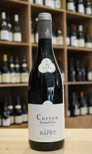 CORTON GRAND CRU ROUGE 2024 DOMAINE RAPET caviste lyon nouvelle cave