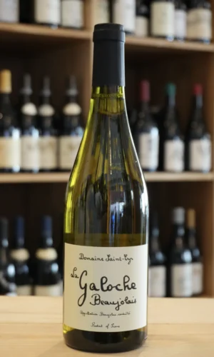 BEAUJOLAIS LA GALOCHE BLANC 2025 DOMAINE SAINT-CYR nouvelle cave lyon caviste