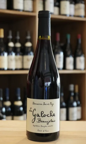 BEAUJOLAIS LA GALOCHE ROUGE 2025 DOMAINE SAINT-CYR