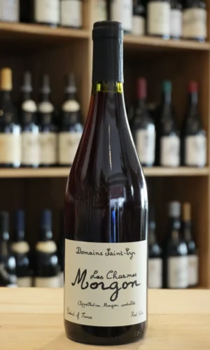 MORGON LES CHARMES 2024 DOMAINE SAINT-CYR