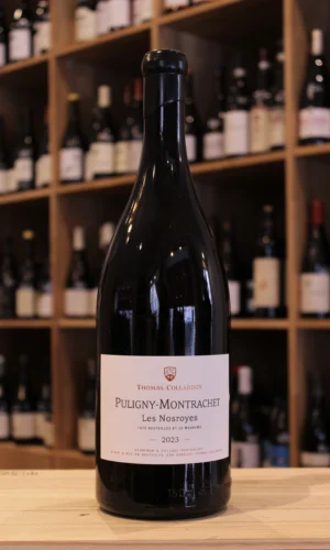 MAGNUM PULIGNY MONTRACHET LES NOSROYES 2023 THOMAS COLLARDOT NOUVELLE CAVE CAVISTE LYON