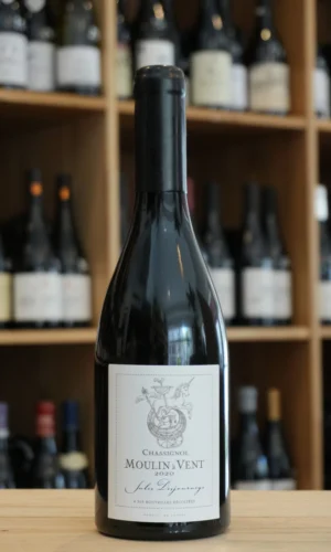 MOULIN A VENT CHASSIGNOL 2020 JULES DESJOURNEYS caviste lyon NOUVELLE CAVE