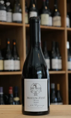 MOULIN A VENT LE STYX 2020 JULES DESJOURNEYS caviste lyon NOUVELLE CAVE