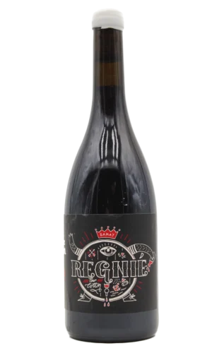 REGNIE 2022 BONNET COTTON