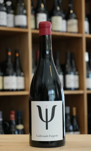 SANCERRE PSI 2019 GUILLERAULT FARGETTE caviste lyon NOUVELLE CAVE