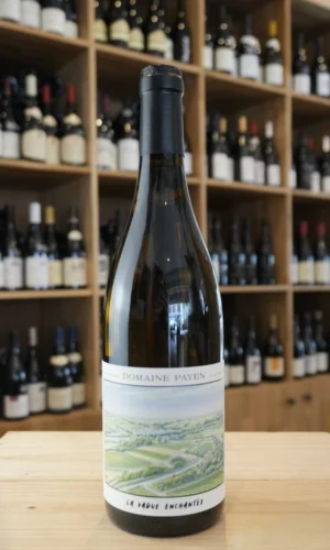ANJOU BLANC LA VAGUE ENCHANTEE 2024 DOMAINE PAYEN caviste lyon nouvelle cave