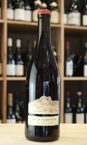 COTES DU JURA L'ENFANT TERRIBLE POULSARD 2023 GANEVAT