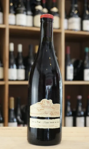 COTES DU JURA JULIEN EN BILLAT L'ENFANT TERRIBLE DU SUD 2024 GANEVAT