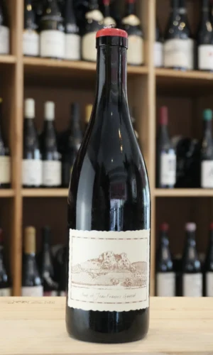 COTES DU JURA LES CHONCHONS 2024 ANNE ET JEAN FRANCOIS GANEVAT