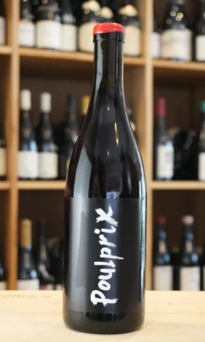 VIN DE FRANCE "POULPRIX" 2024 ANNE ET JEAN FRANCOIS GANEVAT