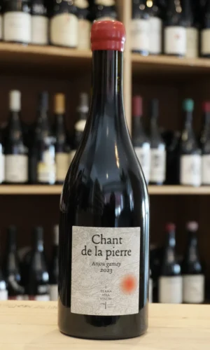 ANJOU GAMAY CHANT DE LA PIERRE 2023 TERRA VITA VINUM