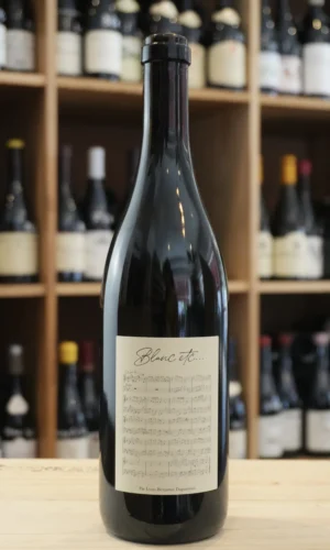 VIN DE FRANCE "BLANC ETC" 2023 DIDIER DAGUENEAU nouvelle cave lyon caviste