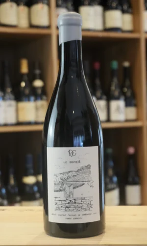 VIN DE FRANCE SAVAGNIN LE NOYER 2024 PIERRE GIRARDIN