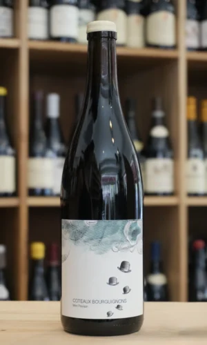 COTEAUX BOURGUIGNONS MON POULAIN 2024 DOMAINE LES HOREES