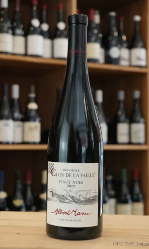 PINOT NOIR ALSACE CLOS DE LA FAILLE 2023 ALBERT MANN caviste lyon nouvelle cave