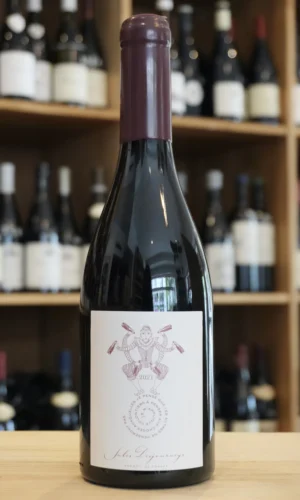 BEAUJOLAIS 2021 JULES DESJOURNEYS