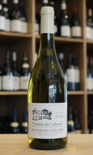 BOURGOGNE CHARDONNAY COTE D'OR 2024 CERBERON