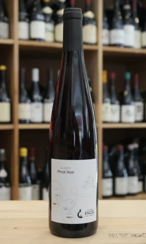 ALSACE PINOT NOIR 2025 ENGEL caviste lyon nouvelle cave