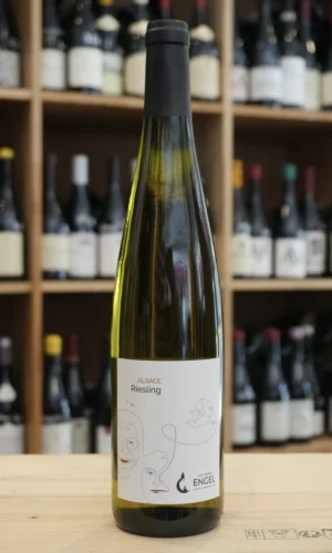 ALSACE RIESLING 2024 ENGEL CAVISTE LYON NOUVELLE CAVE