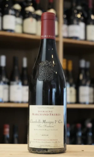 CHAMBOLLE MUSIGNY PREMIER CRU LES SENTIERS 2016 DOMAINE MARCHAND CAVISTE LYON NOUVELLE CAVE