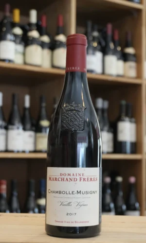 CHAMBOLLE MUSIGNY VIEILLES VIGNES 2017 DOMAINE MARCHAND CAVISTE LYON NOUVELLE CAVE