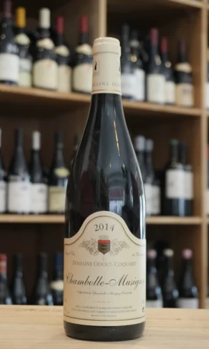 CHAMBOLLE MUSIGNY 2014 ODOUL COQUARD CAVISTE LYON NOUVELLE CAVE