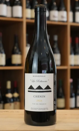 VIN DE FRANCE ROBINERIE 2024 MONSIEUR COLIN JANOT caviste lyon nouvelle cave