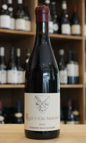 RULLY 1ER CRU MARISSOU ROUGE 2023 CHRISTOPHE GRANDMOUGIN caviste lyon nouvelle cave a
