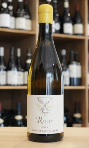 RULLY 2023 CHRISTOPHE GRANDMOUGIN nouvelle cave lyon caviste