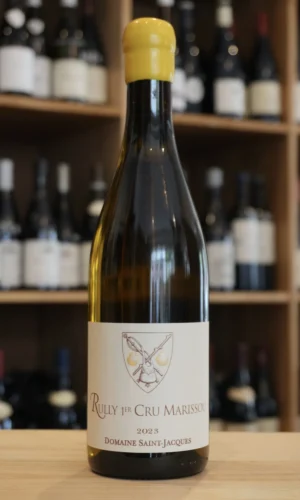 RULLY 1ER CRU MARISSOU BLANC 2023 CHRISTOPHE GRANDMOUGIN caviste lyon nouvelle cave