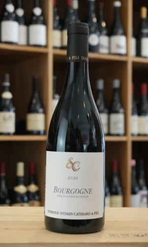 BOURGOGNE PINOT NOIR 2020 DOMAINE SYLVAIN CATHIARD ET FILS