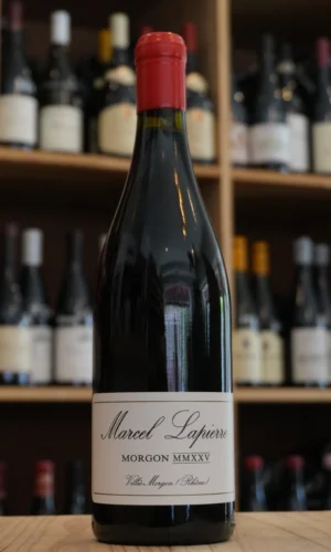 MORGON CUVEE MARCEL 2025 MARCEL LAPIERRE NOUVELLE CAVE LYON CAVISTE