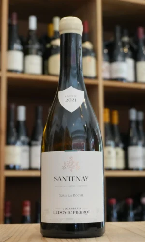 SANTENAY "SOUS LA ROCHE" 2021 VIGNOBLES LUDOVIC PIERROT caviste lyon nouvelle cave