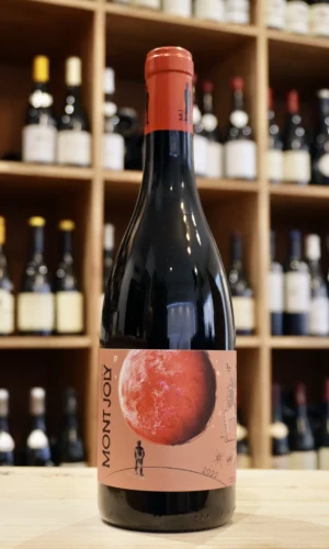 BEAUJOLAIS VILLAGES LA POINTE 2022 DOMAINE MONT JOLY caviste lyon nouvelle cave
