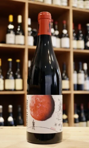 BEAUJOLAIS VILLAGE MARZY 2024 DOMAINE MONT JOLY